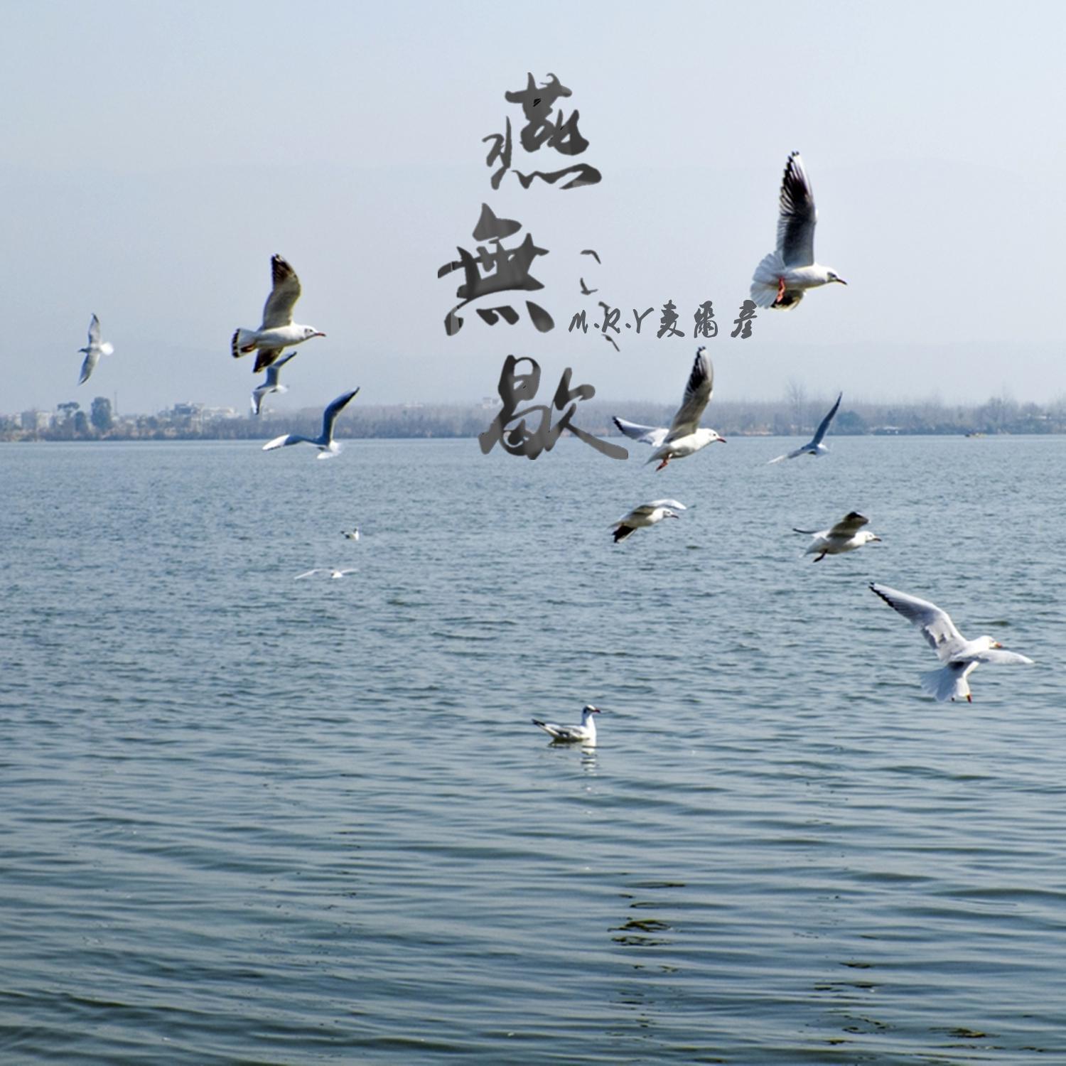 燕无歇 - 抖音DJ版
