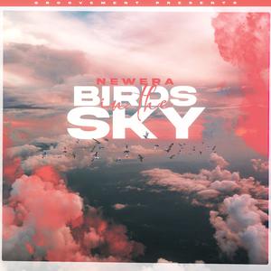Newera & Allie Sherlock - Birds in the Sky (Acoustic Vs Instrumental) 无和声伴奏