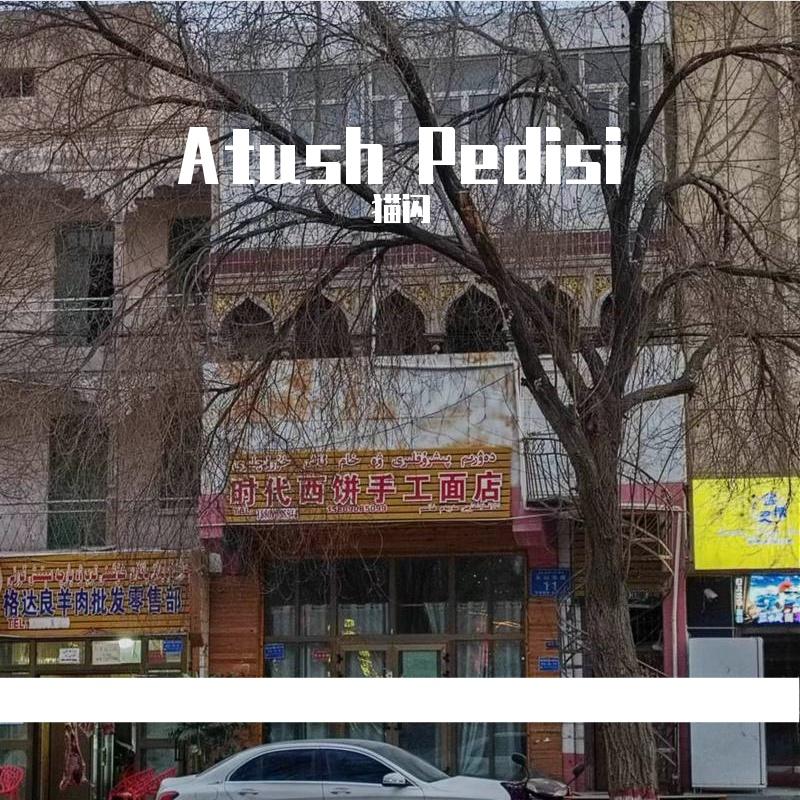 Atush Pedisi (demo） 伴奏