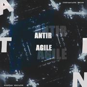 ANTIFRAGILE