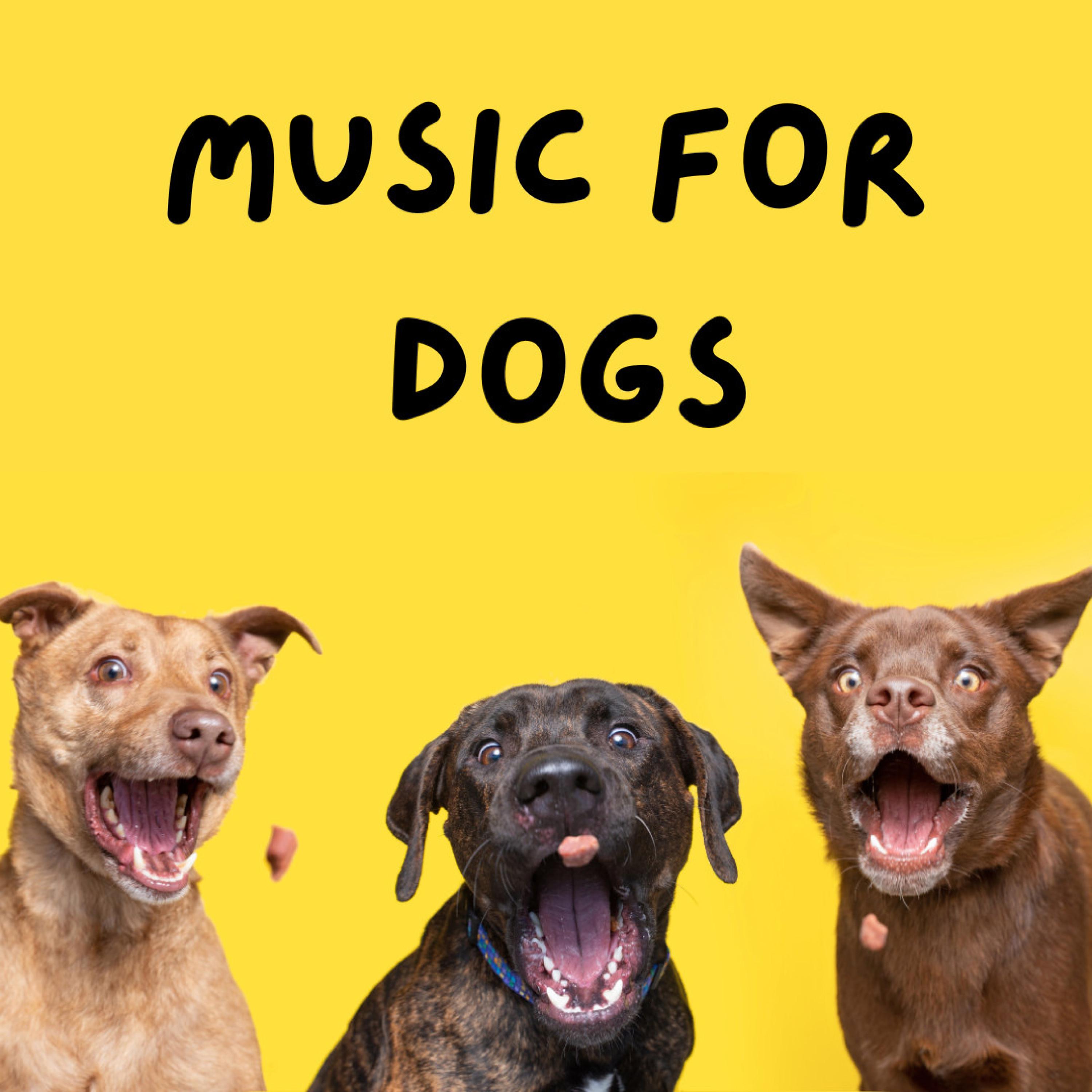 Relaxing Rhythms for Canines - Music For Dogs Peace/Music For Dogs ...