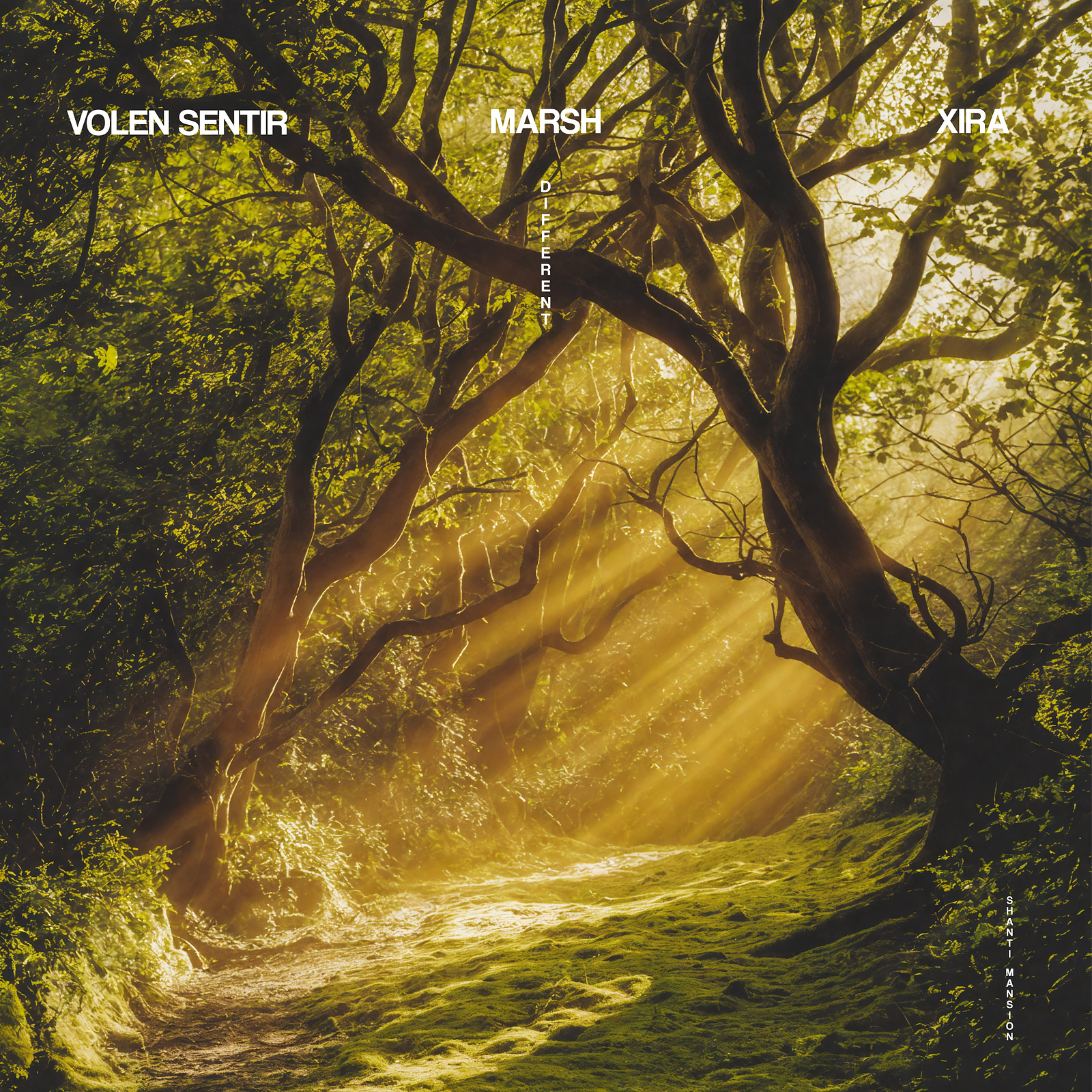 Different (Original Mix)