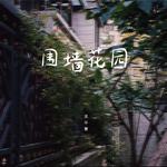 围墙花园专辑