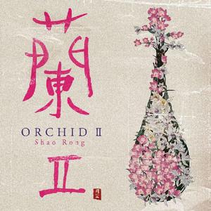 ORCHID II (蘭II)-01 A Tropical Island （升5半音）