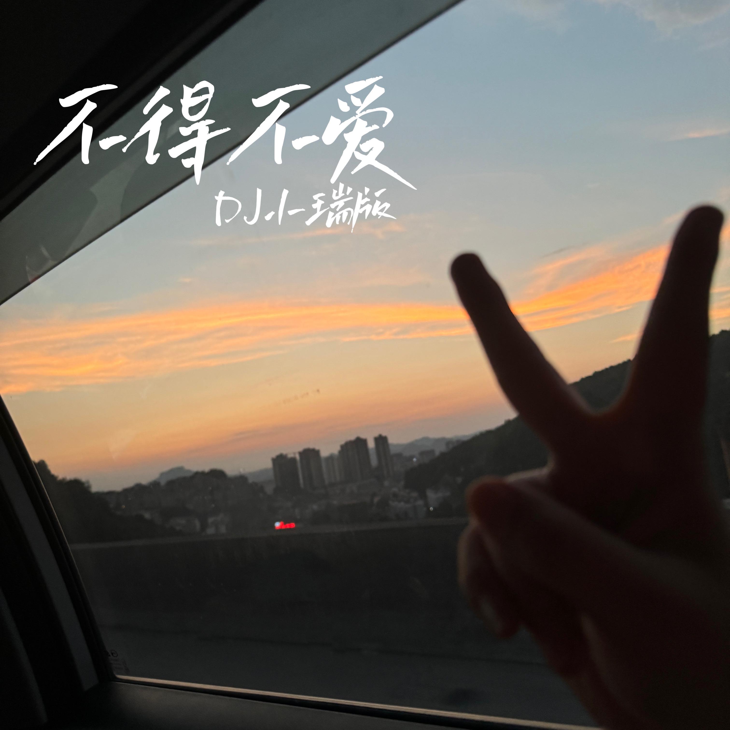 不得不爱（DJ小瑞版）