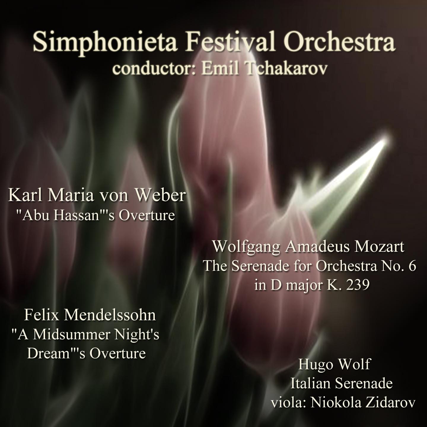 Weber - Mozart - Wolf - Mendelssohn: Selected Works