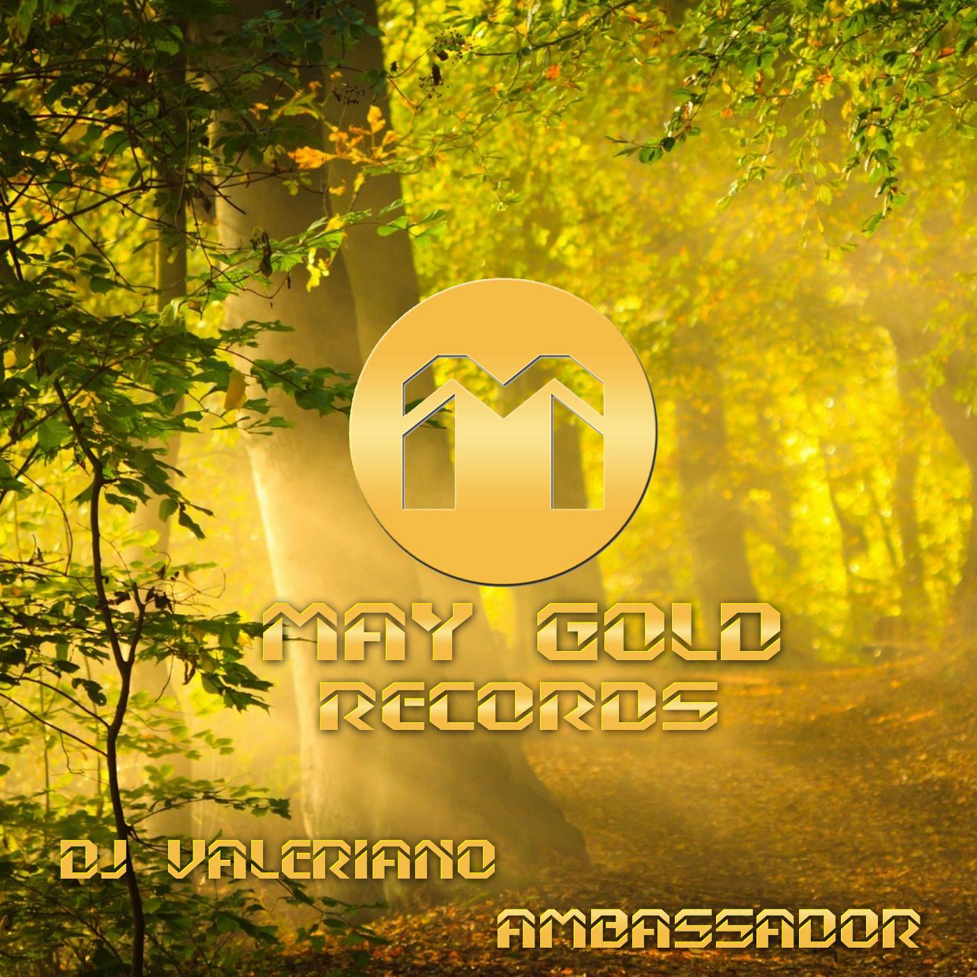 Ambassador