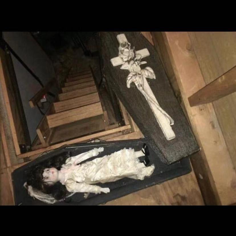 我死去的16朵葵花