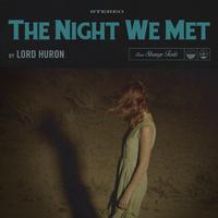 Lord Huron - The Night We Met (VS Instrumental) 无和声伴奏