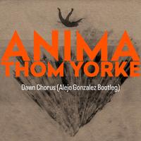 Dawn Chorus (Bootleg)