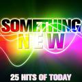 Something New: 25 Hits of Today