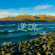 逆流