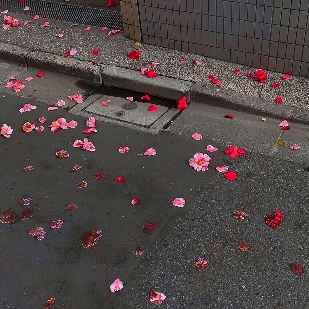 烂俗套路