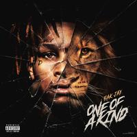 BAK Jay & NLE Choppa - Wassam