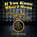 If You Know What I Mean (In the Style of Neil Diamond) [Karaoke Version] - Single
