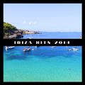 Ibiza Hits 2014