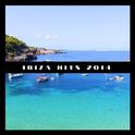 Ibiza Hits 2014专辑