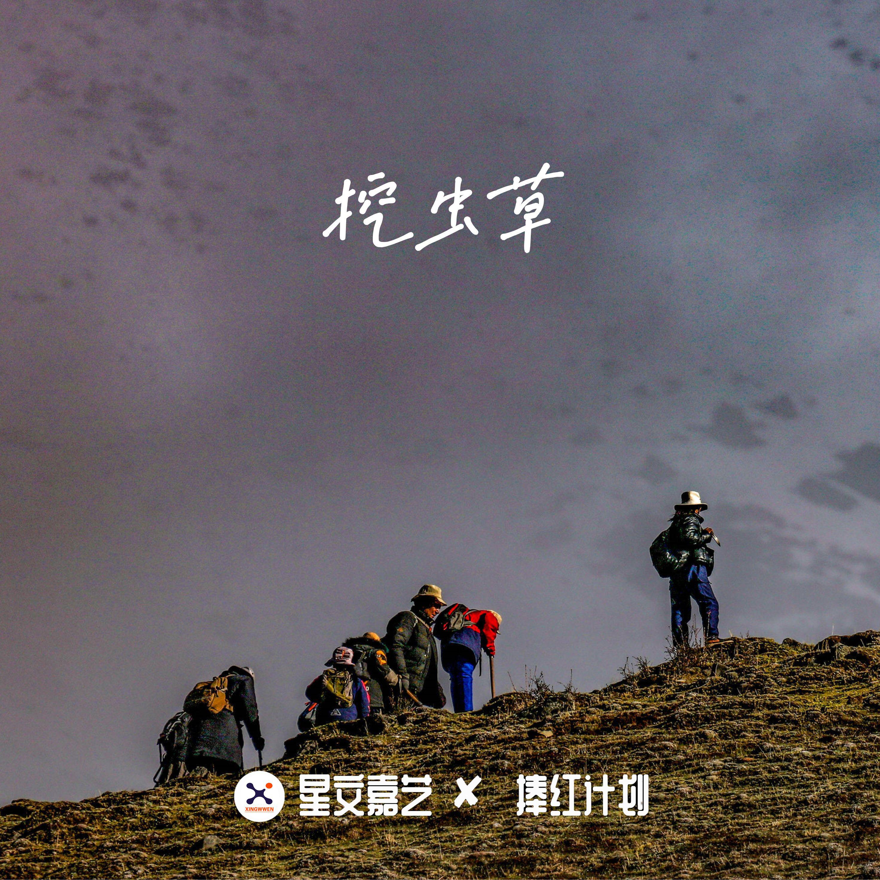 挖虫草