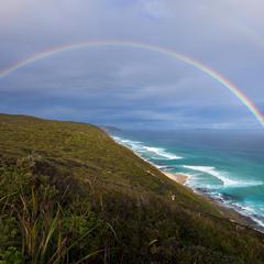 Rainbow