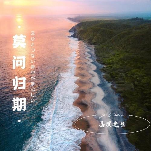 客官不可以(DJ版)