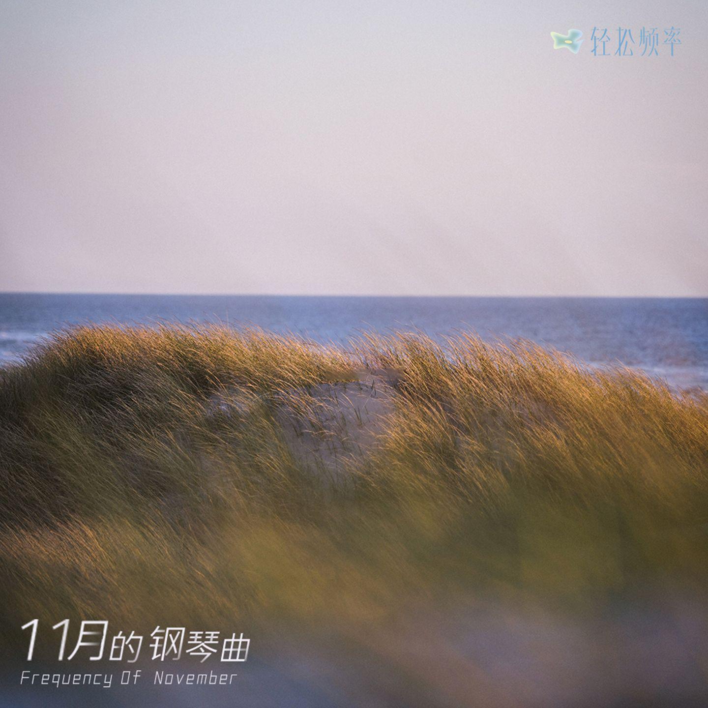 十一月的钢琴曲