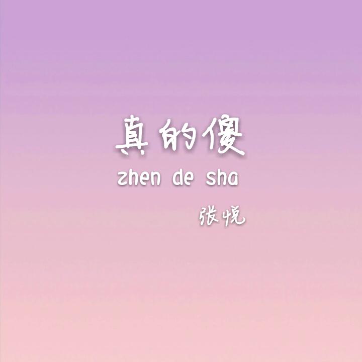 真的傻专辑