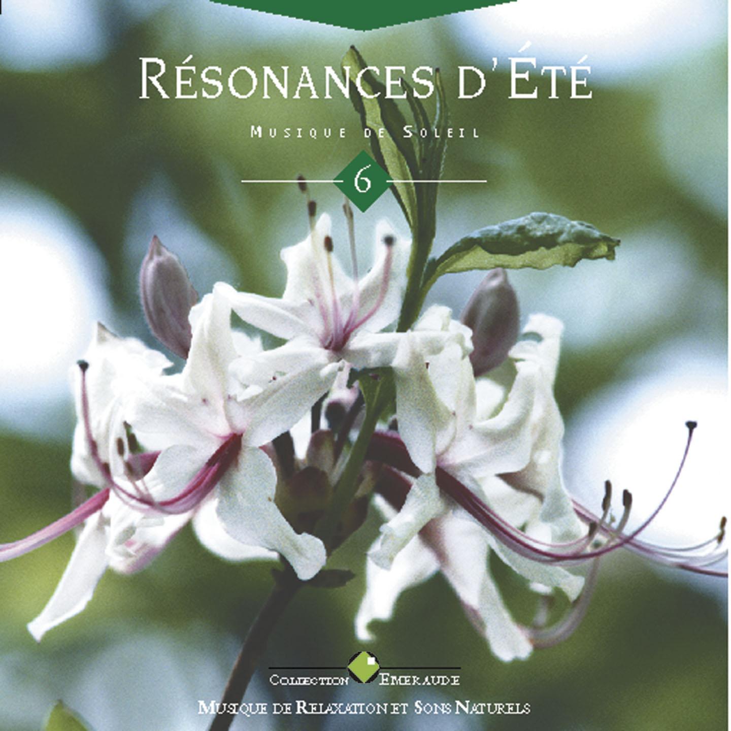 Emeraude: résonances d'été