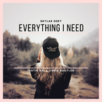 Skylar Grey - Everything I need bootleg专辑