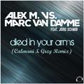 Died in Your Arms (Calmani & Grey Remix)