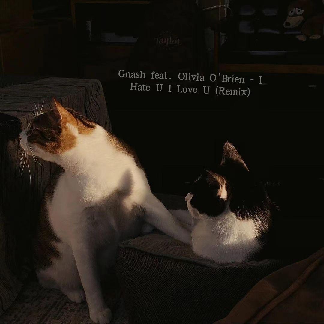 Gnash feat.Olivia O'Brien-I Hate U I Love U(Remix)