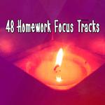 48 Homework Focus Tracks专辑