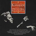 Herbert Von Karajan conducts Orchestral Favourites专辑