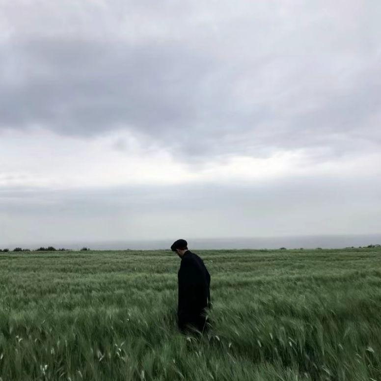 A Fleeting Summer Dream