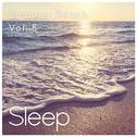 Sleeping at the Beach, Vol. 5专辑
