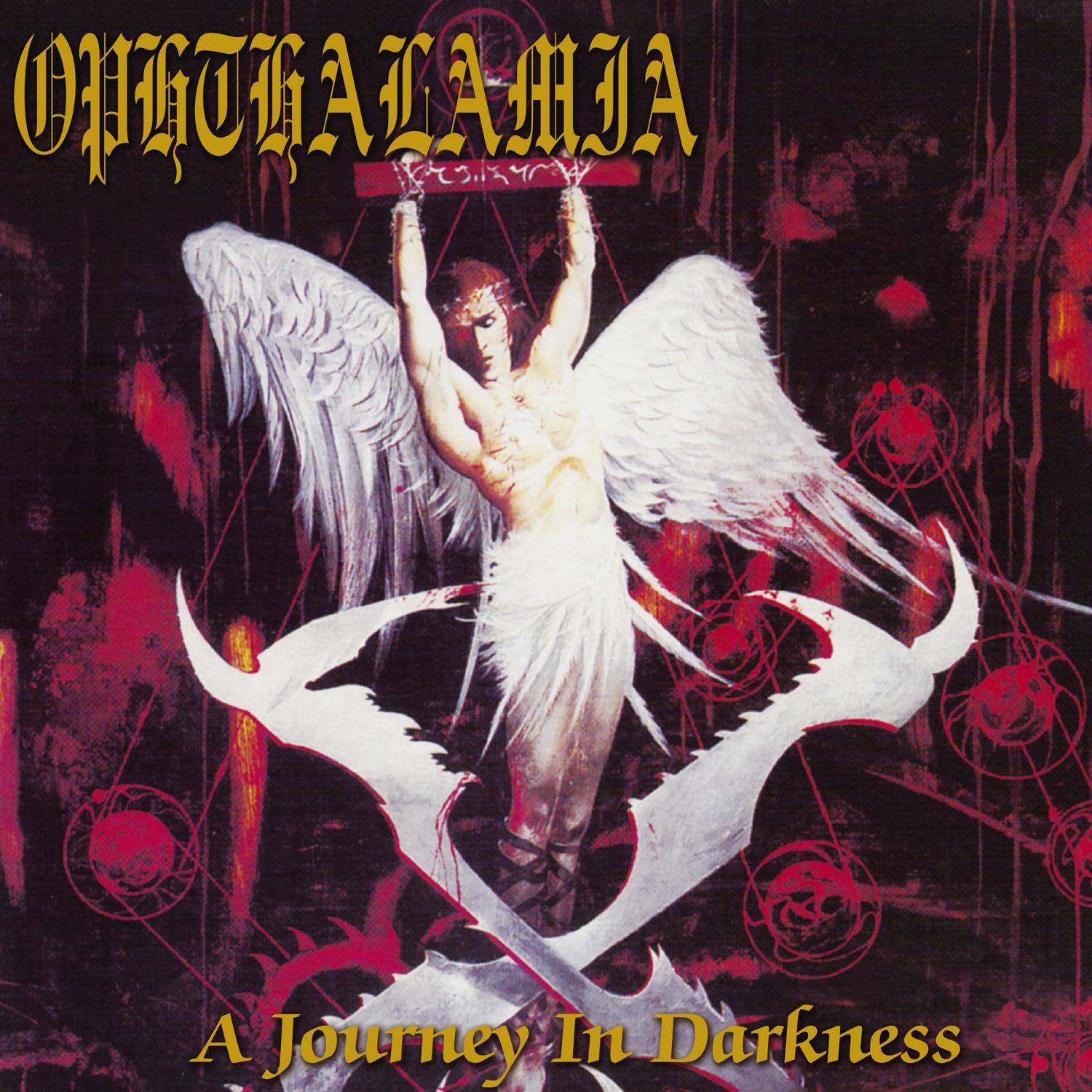 A Journey in Darkness