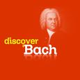 Discover Bach