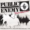 Public Enemy No.1 (Jeronimo Punx Redu)