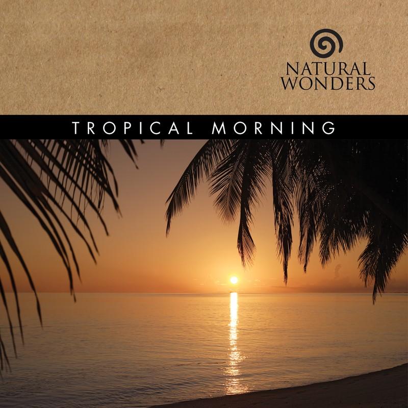 Tropical Morning
