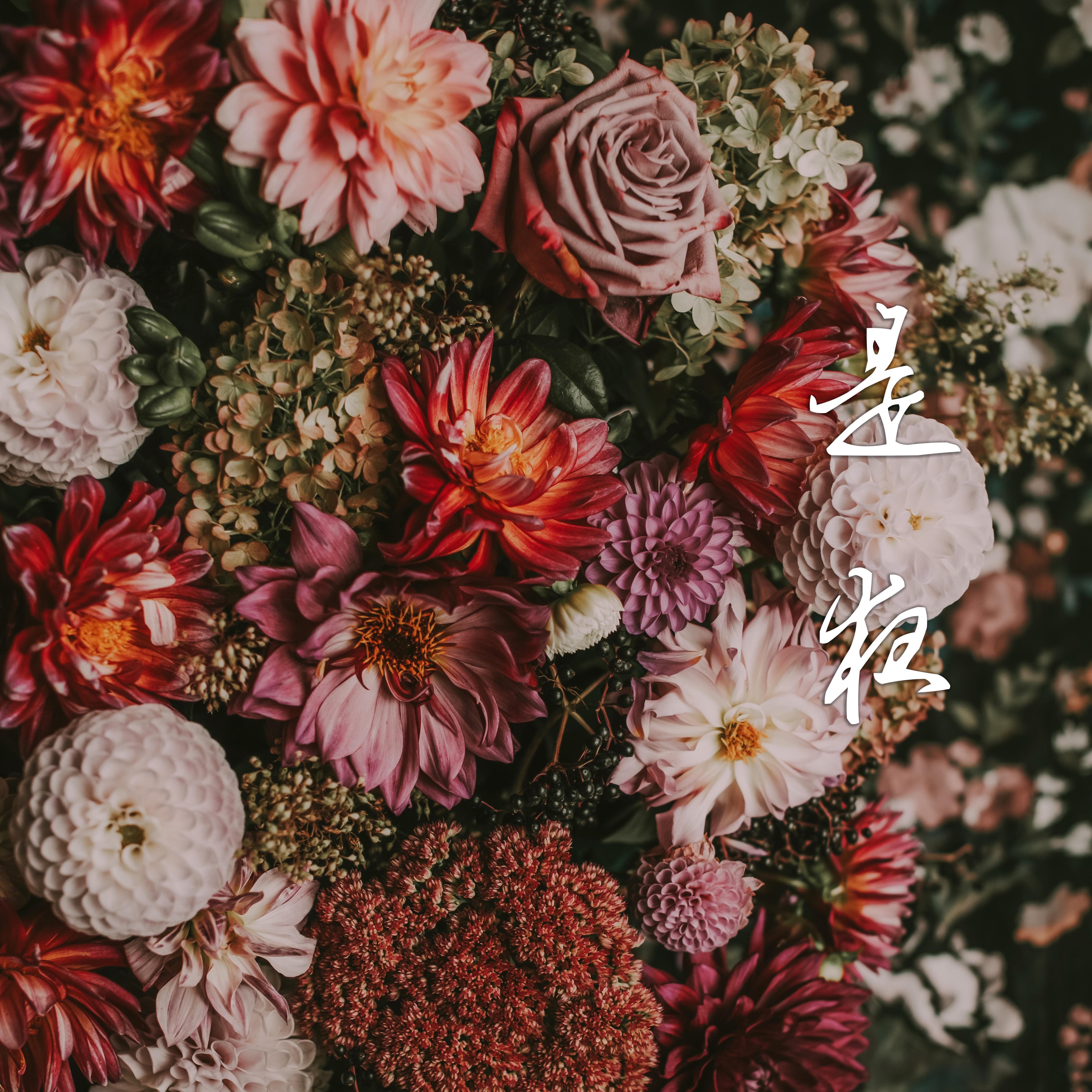 是夜