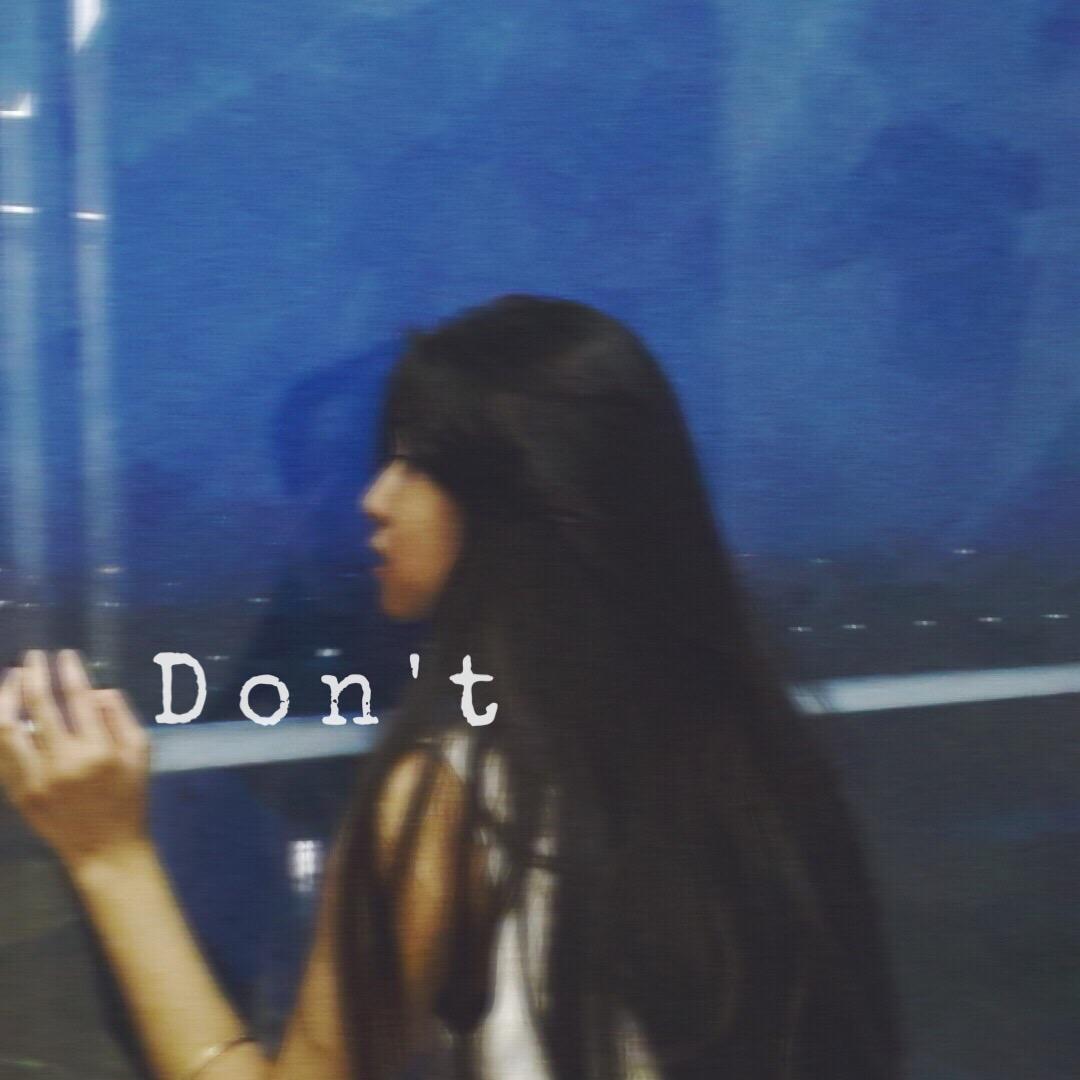 Don't专辑