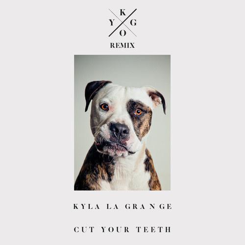 Cut Your Teeth (Kygo Remix)专辑