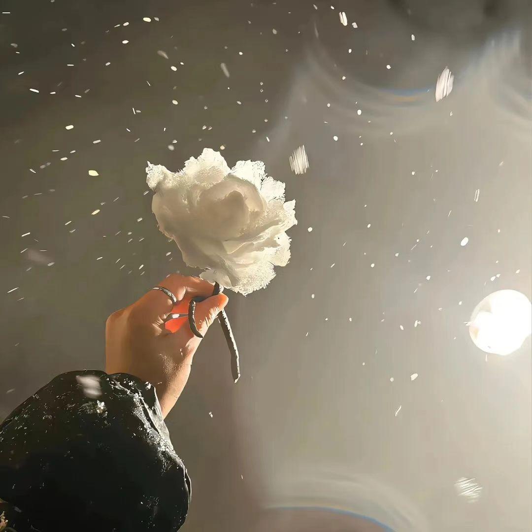 爱是自由意志的沉沦