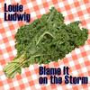 Louie Ludwig - Blame It on the Storm