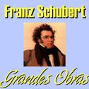 Franz Schubert Grandes Obras专辑