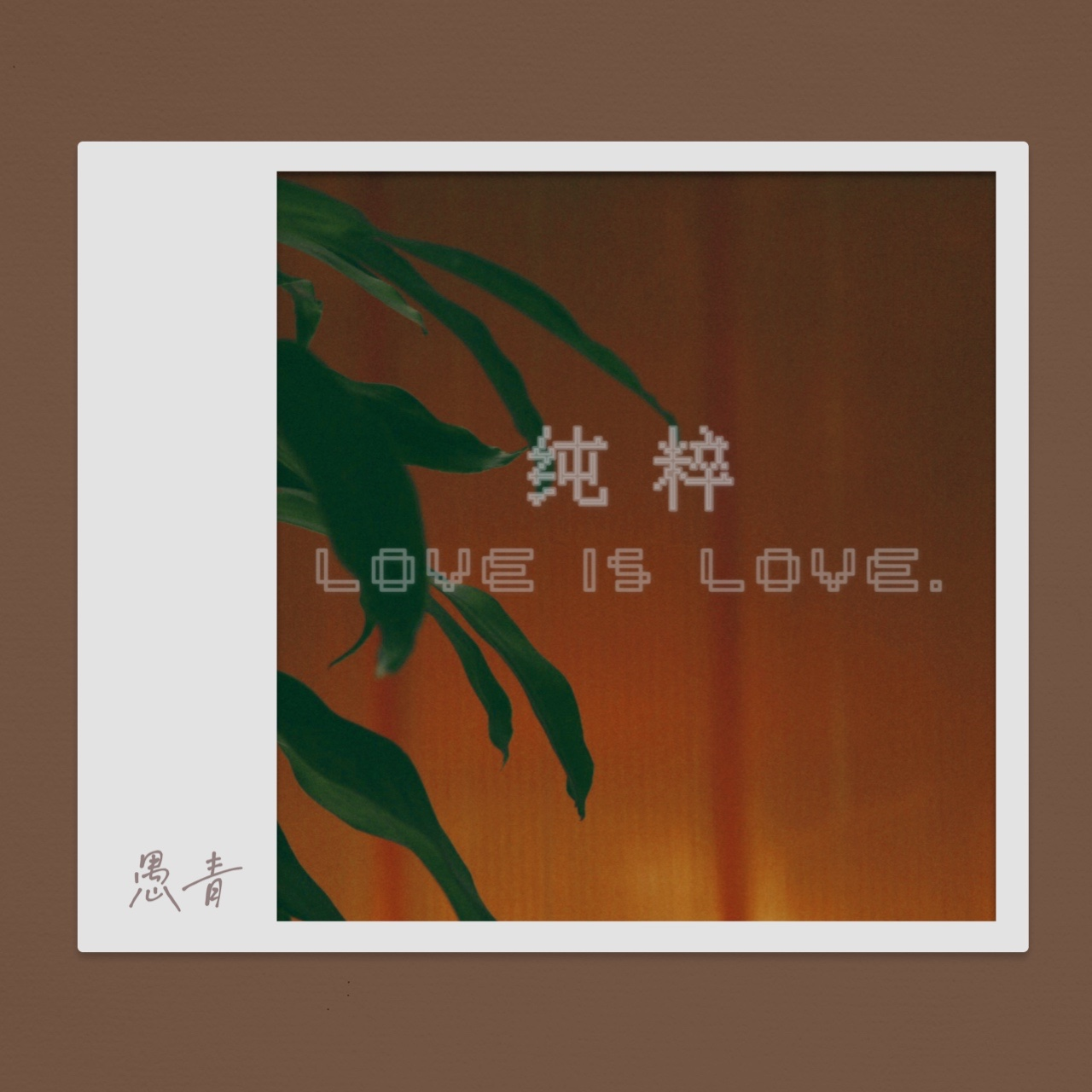 纯粹(love is love)