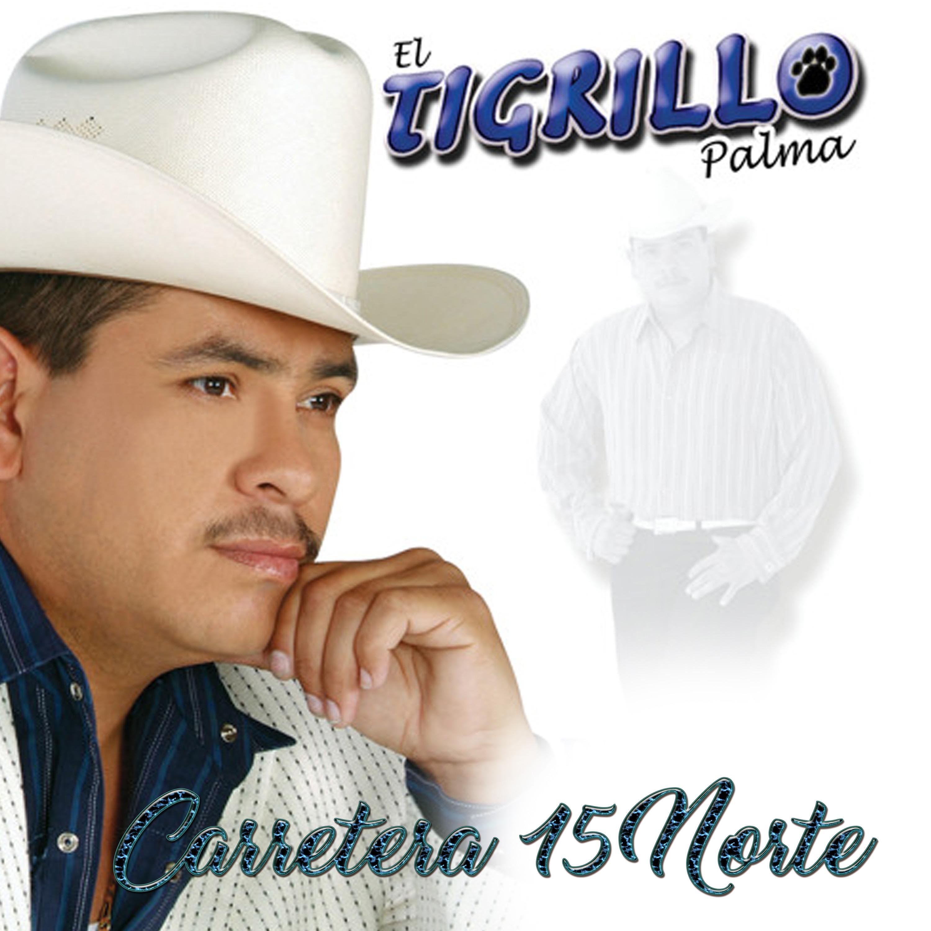 Carretera 15 Norte