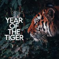 Tiger - Abba (unofficial Instrumental)