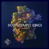 Downtempo Kings - Nos Vemos en la Playa