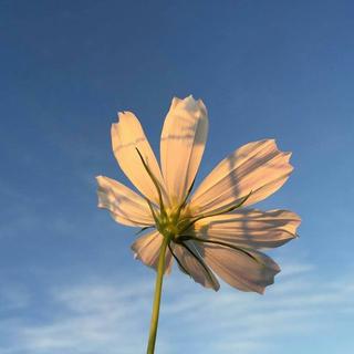 快手仇远旭（精选集）