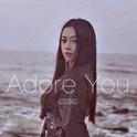 Adore You专辑